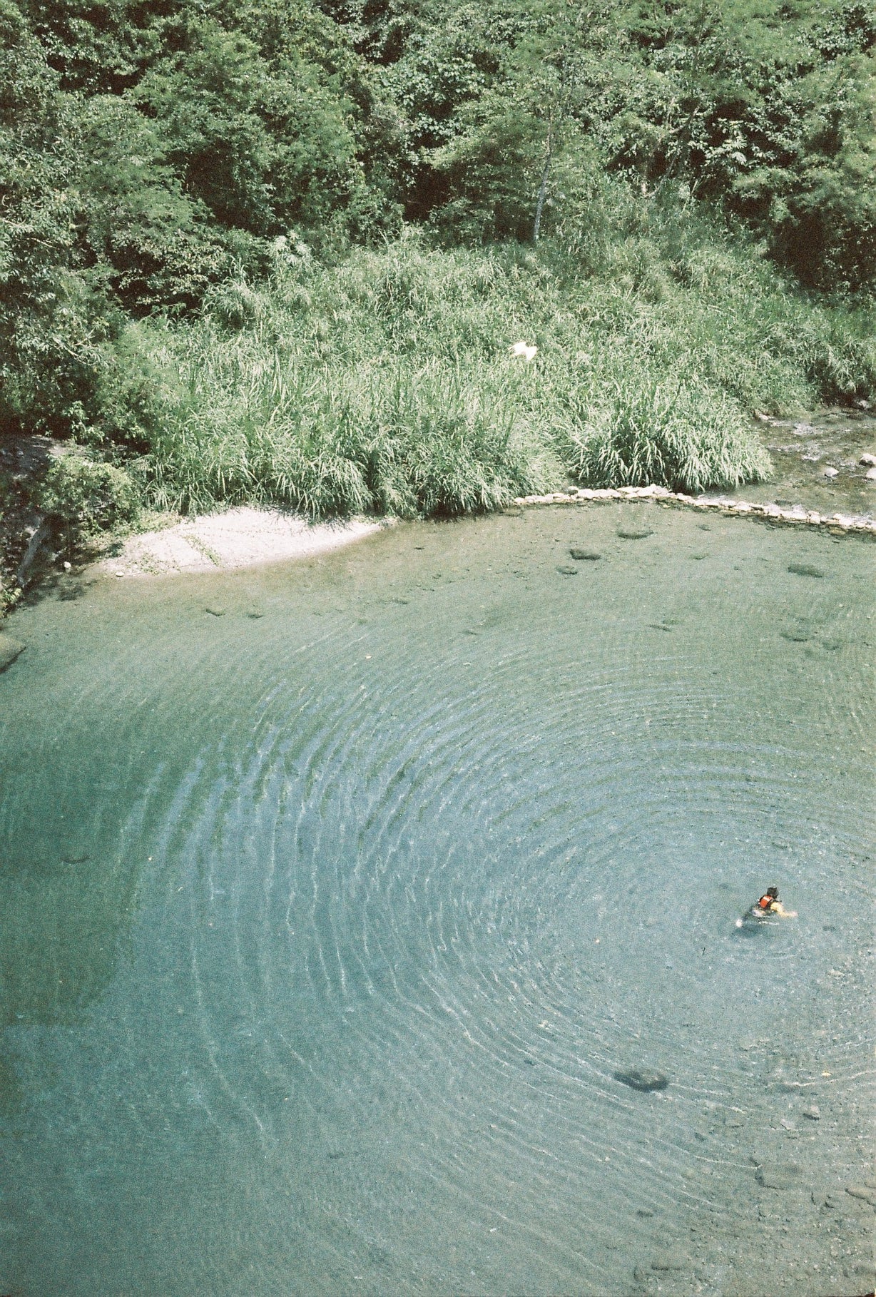 Retocolor Aqua 400 35MM COLOR NEGATIVE FILM 27EXP