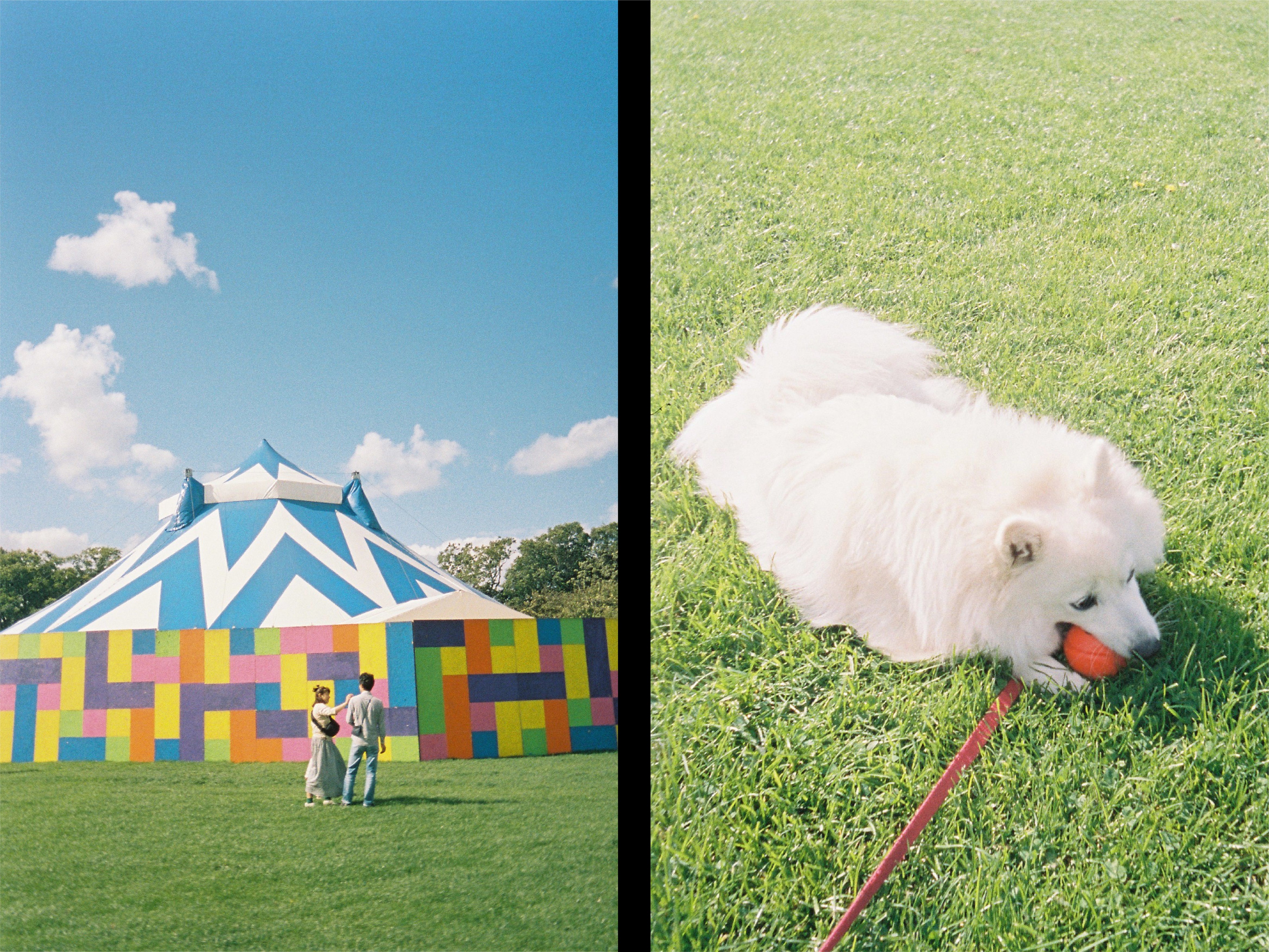KODAK EKTAR H35N Half Frame Film Camera Glazed Pink + Kodak Ultramax 24EXP