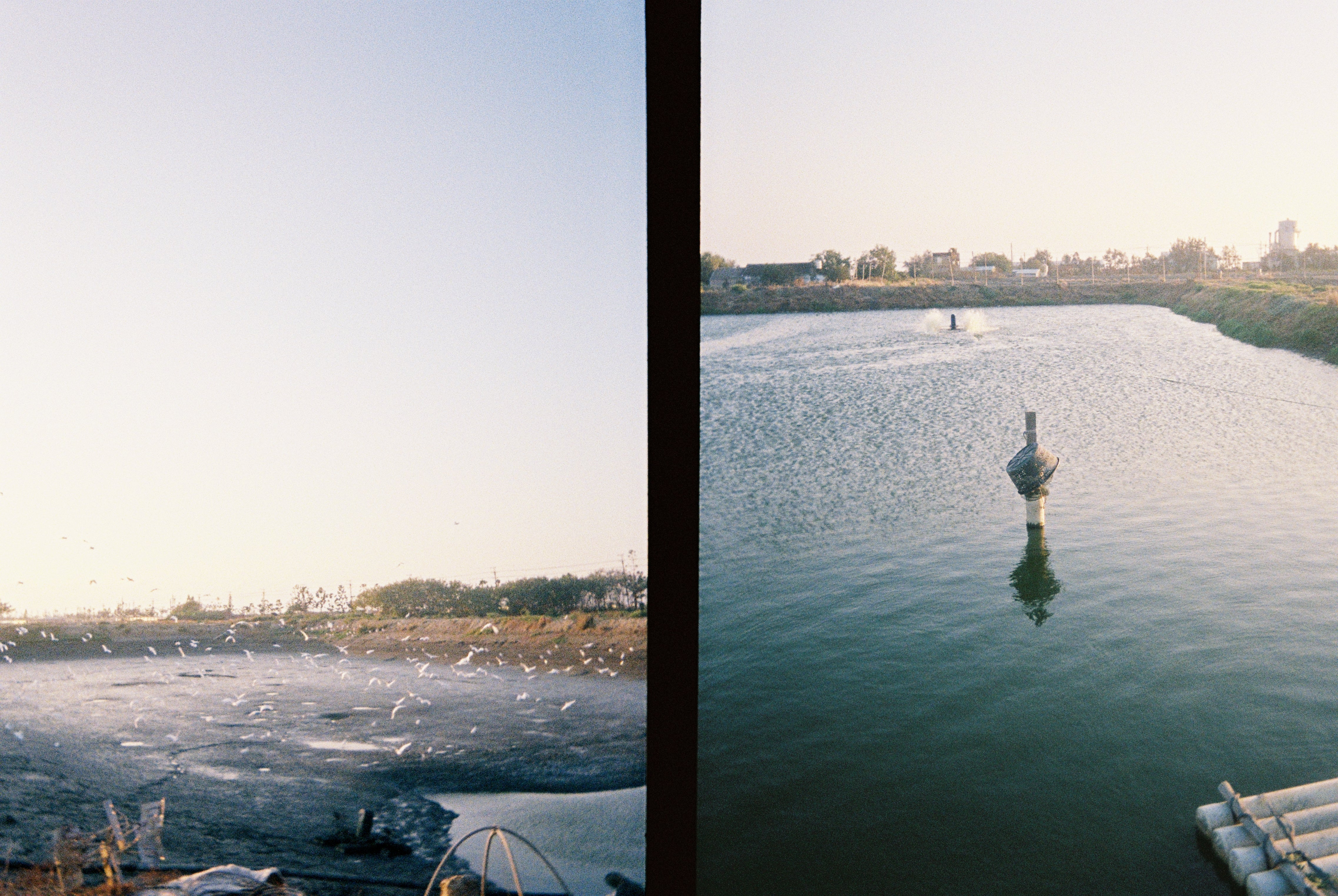 KODAK EKTAR H35 Half Frame Film Camera Sage + Kodak Ultramax 24EXP