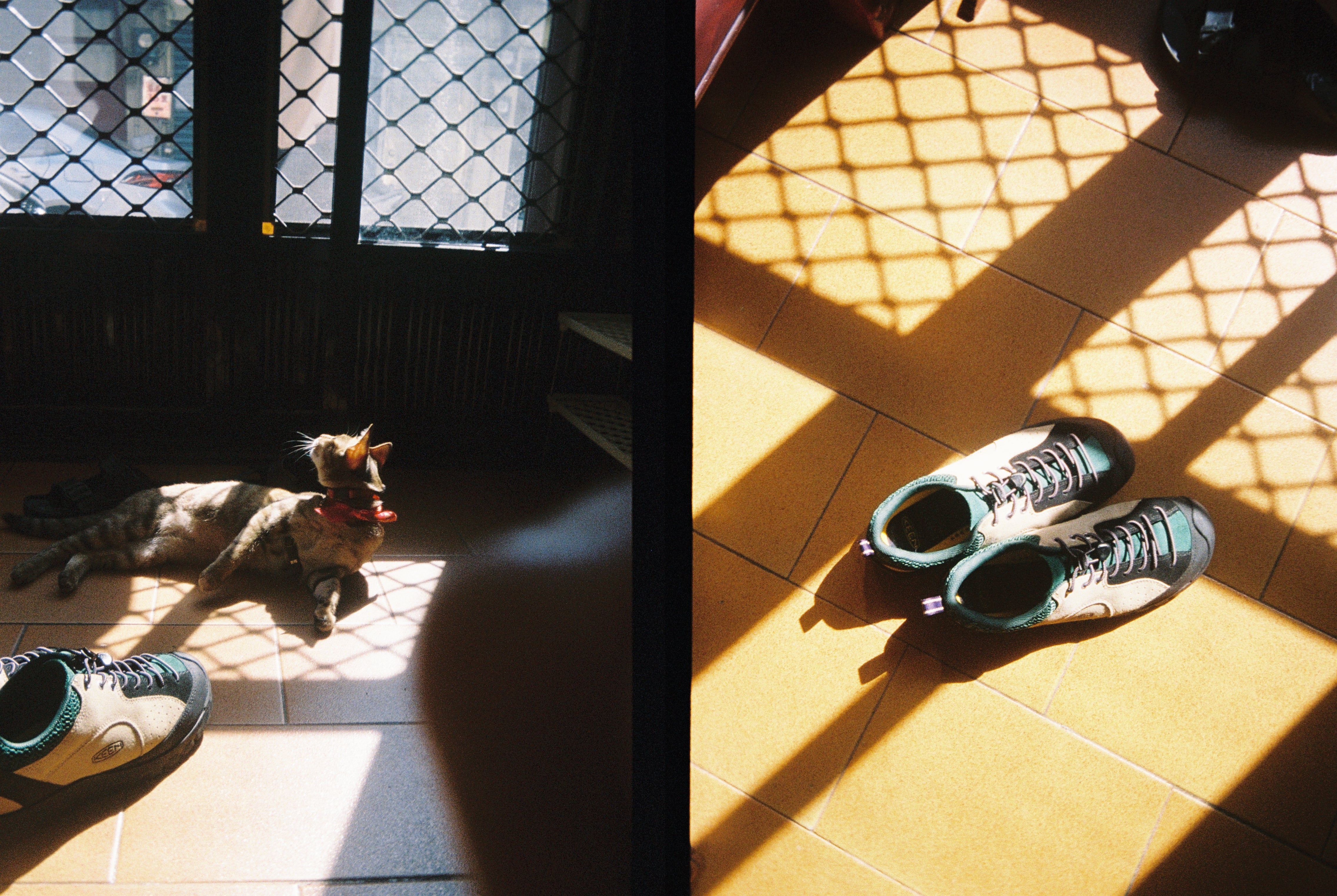 KODAK EKTAR H35 Half Frame Film Camera Sage + Kodak Ultramax 24EXP